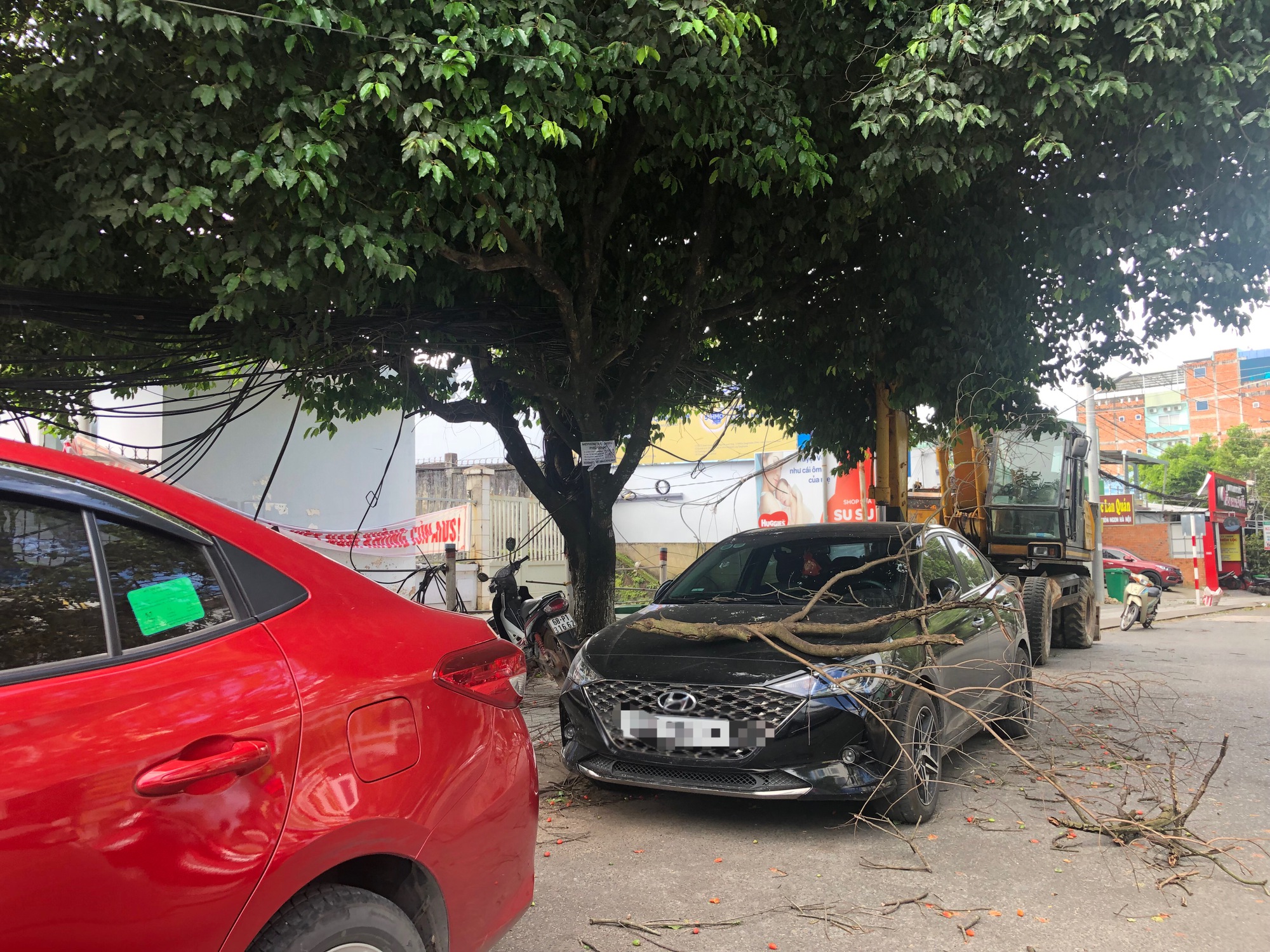 Phú Quốc: Tàu ngưng hoạt động, máy bay không hạ cánh được vì gió mạnh bất thường - Ảnh 5.