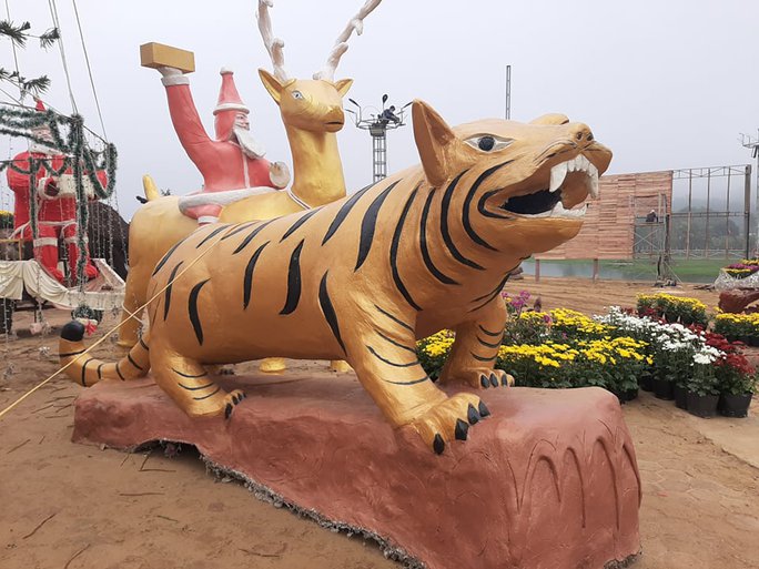 Tượng m&egrave;o giống chuột g&acirc;y tranh c&atilde;i ở Thanh H&oacute;a - Ảnh 7.