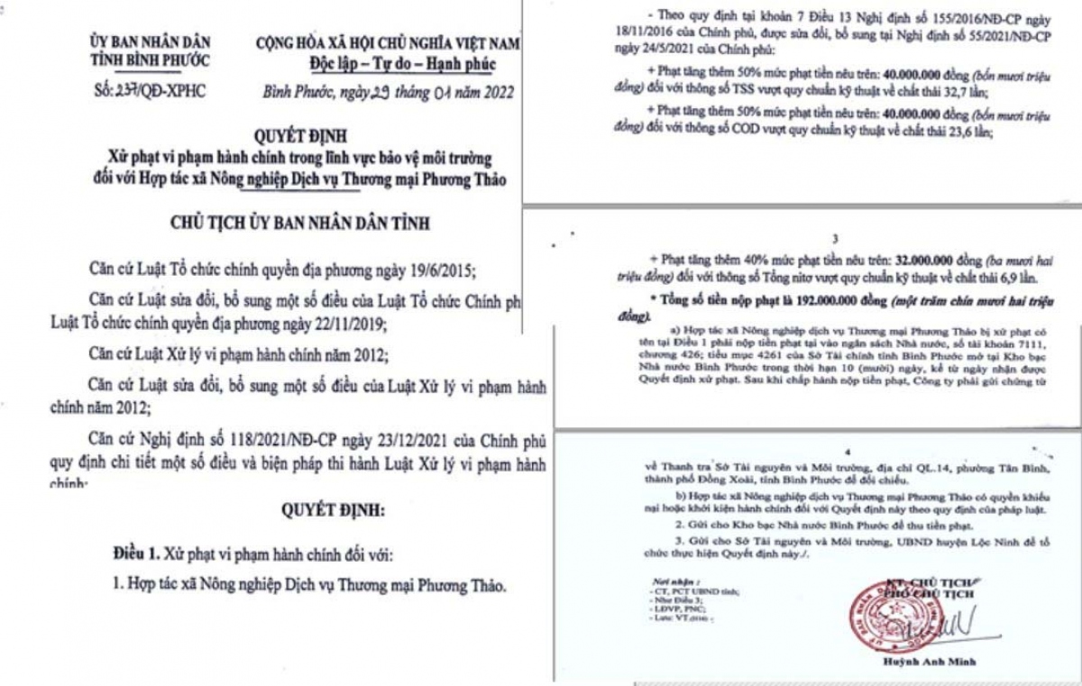 Từ phản ánh của người dân, lộ trang trại làm liều - Ảnh 1.