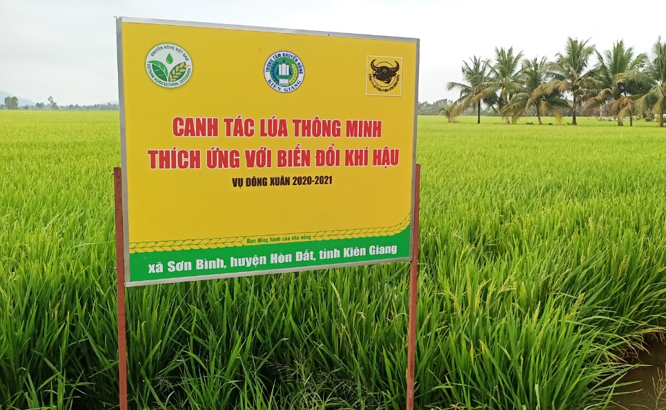 Ở Đồng bằng sông Cửu Long, chỉ làm lúa có giàu được không?