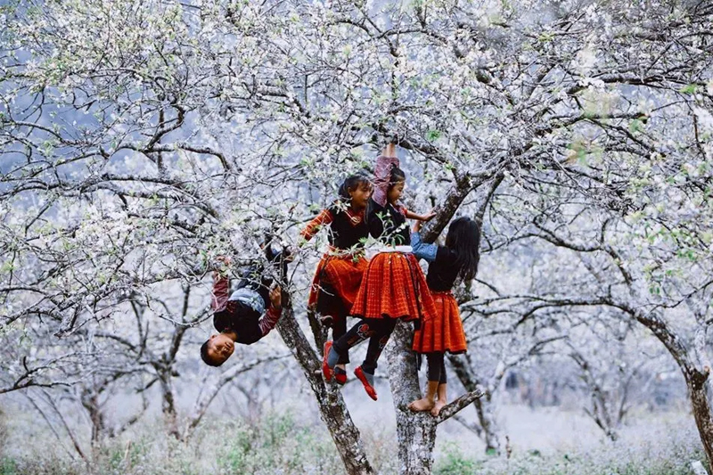 Quảng bá du lịch qua cuộc thi ảnh "Tỏa sáng Việt Nam - Amazing Vietnam"