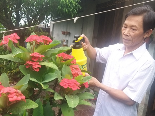 Cuộc thi viết "Người Thầy kính yêu": Thương hoài thầy tôi