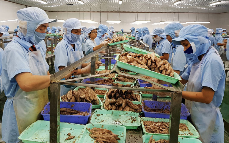 Nhiều cơ hội đầu tư v&agrave;o khu c&ocirc;ng nghiệp, khu kinh tế Ph&uacute; Y&ecirc;n - Ảnh 2.