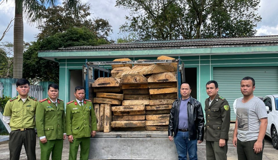 Kỳ lạ hàng chục phách gỗ vô chủ ở bãi đất trống