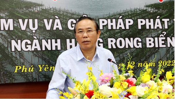Nhiều tiềm năng ph&aacute;t triển ng&agrave;nh h&agrave;ng rong biển - Ảnh 2.