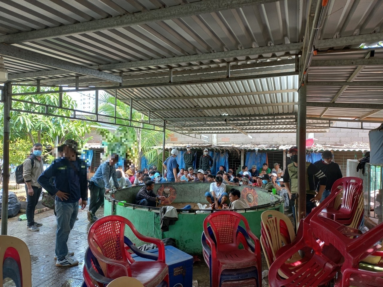 Triệt ph&aacute; trường g&agrave; &ldquo;khủng&rdquo; giữa trung t&acirc;m TP Phan Thiết - Ảnh 1.
