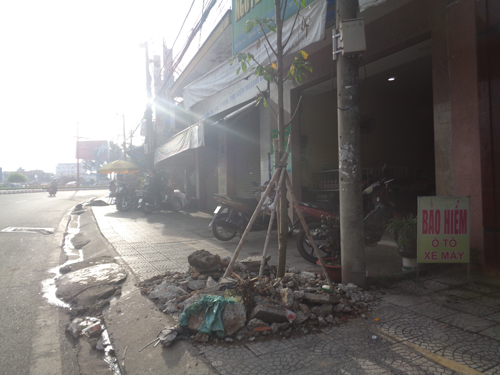 Trồng cây quá cẩu thả