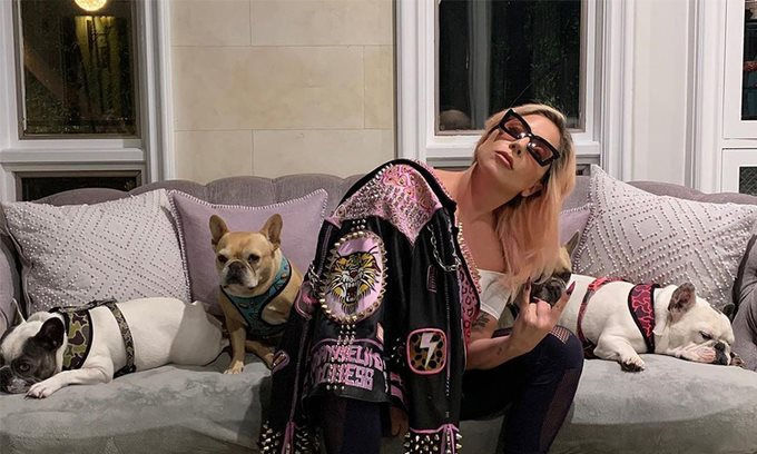 21 năm tù cho kẻ trộm chó cưng của Lady Gaga