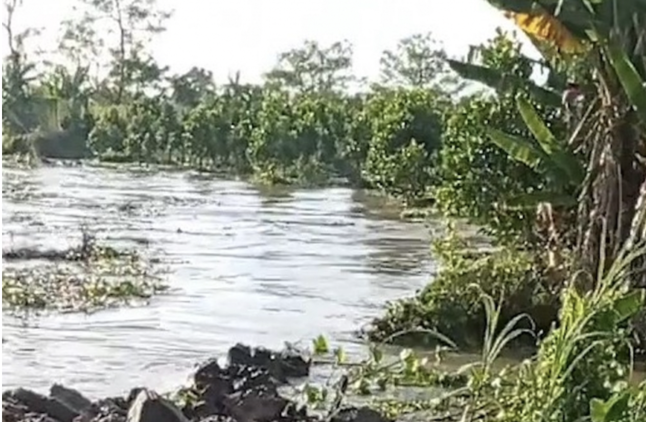 CLIP: Sạt lở kinh hoàng tại Vĩnh Long, 12 căn nhà trôi sông - Ảnh 2.