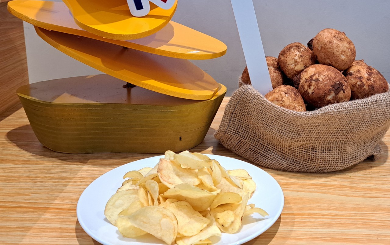 Trồng khoai tây làm snack, nông dân lãi đến 100 triệu đồng/ha