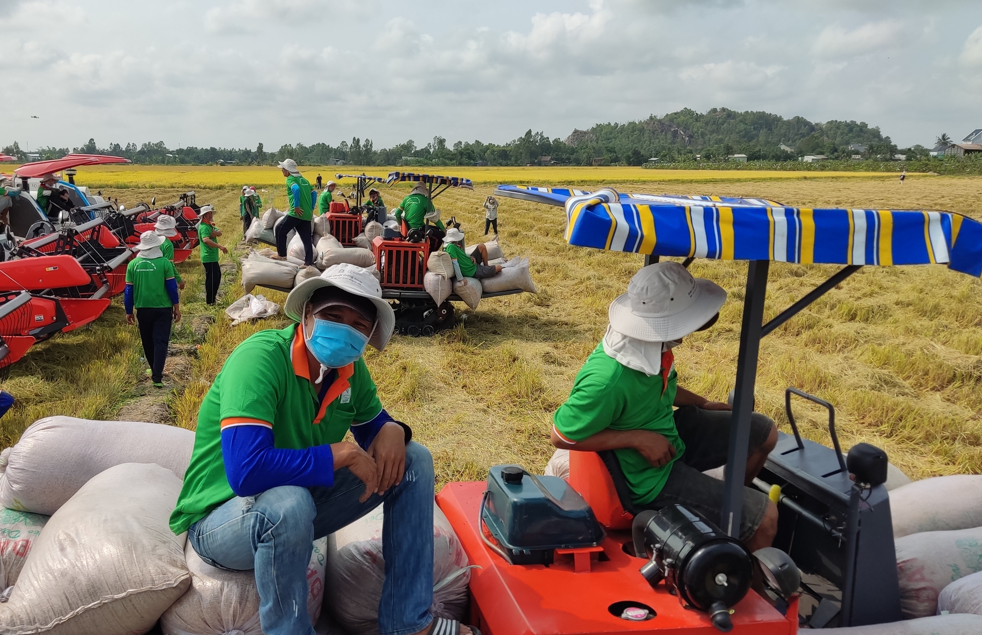 Lộc Trời cung ứng nửa triệu tấn gạo cho Tổng công ty Lương thực miền Bắc