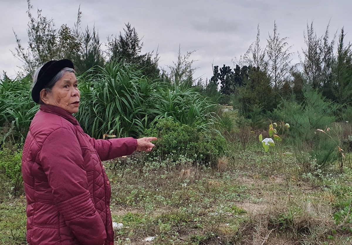 Vụ 4,2 ha rừng gia đình trồng nhưng người khác đứng tên: Phường phản hồi không thống nhất