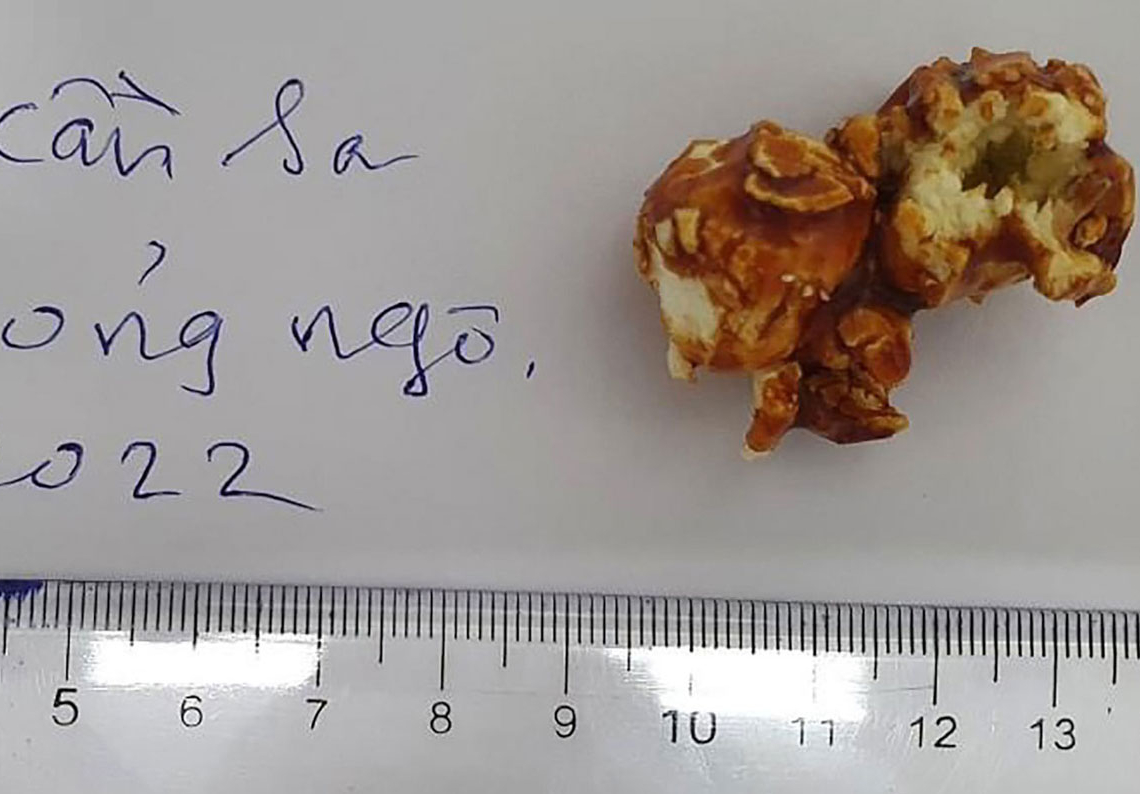 Chính phủ yêu cầu Bộ Công an vào cuộc vụ ngộ độc ma túy trong thực phẩm