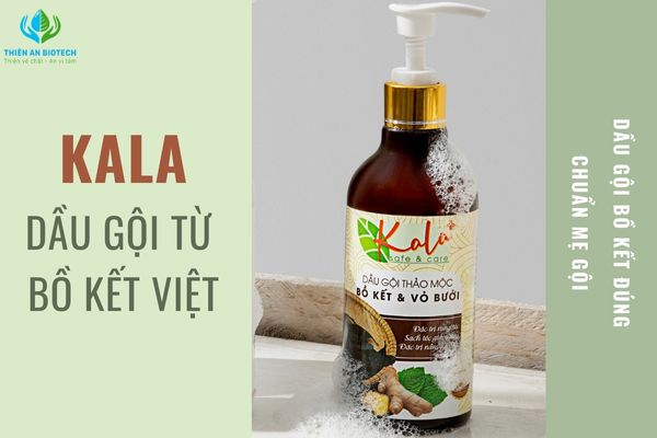 Sức hút của bồ kết Việt Nam ở thị trường nước ngoài