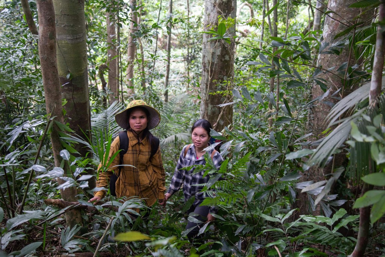 Sơn nữ giữ rừng