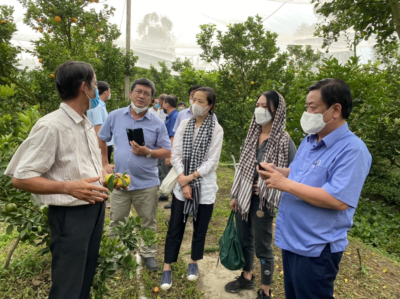 Mệnh lệnh phát triển