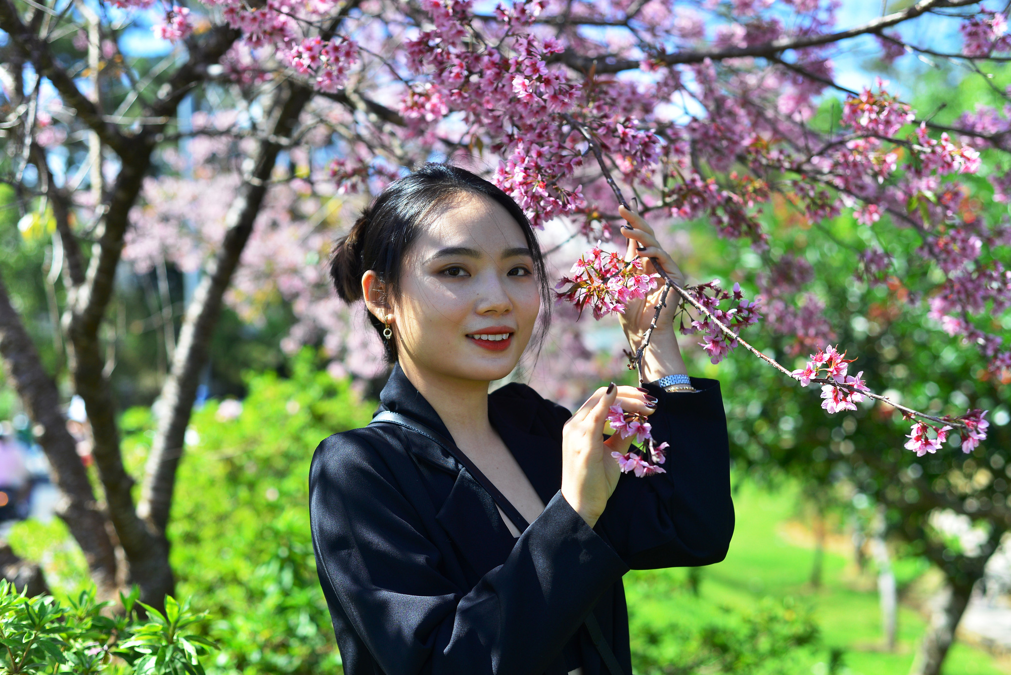 Du kh&aacute;ch m&ecirc; mẩn trước mai anh đ&agrave;o nở rộ ở th&agrave;nh phố sương m&ugrave; Đ&agrave; Lạt - Ảnh 8.