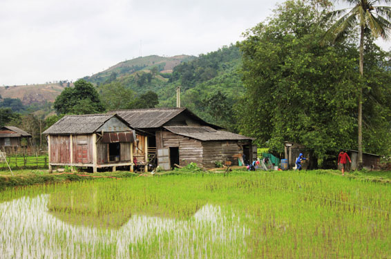 Chuyện lạ ở V&ugrave;ng Kho - Ảnh 6.