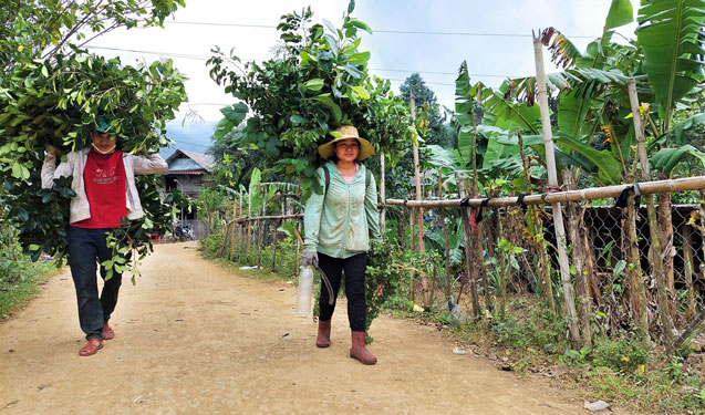 Chuyện lạ ở V&ugrave;ng Kho - Ảnh 2.