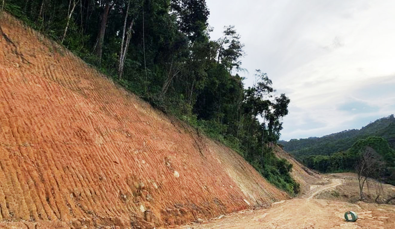 Đoàn công tác của Bộ Quốc phòng kiểm tra vụ phá rừng đặc dụng làm đường Trường Sơn Đông