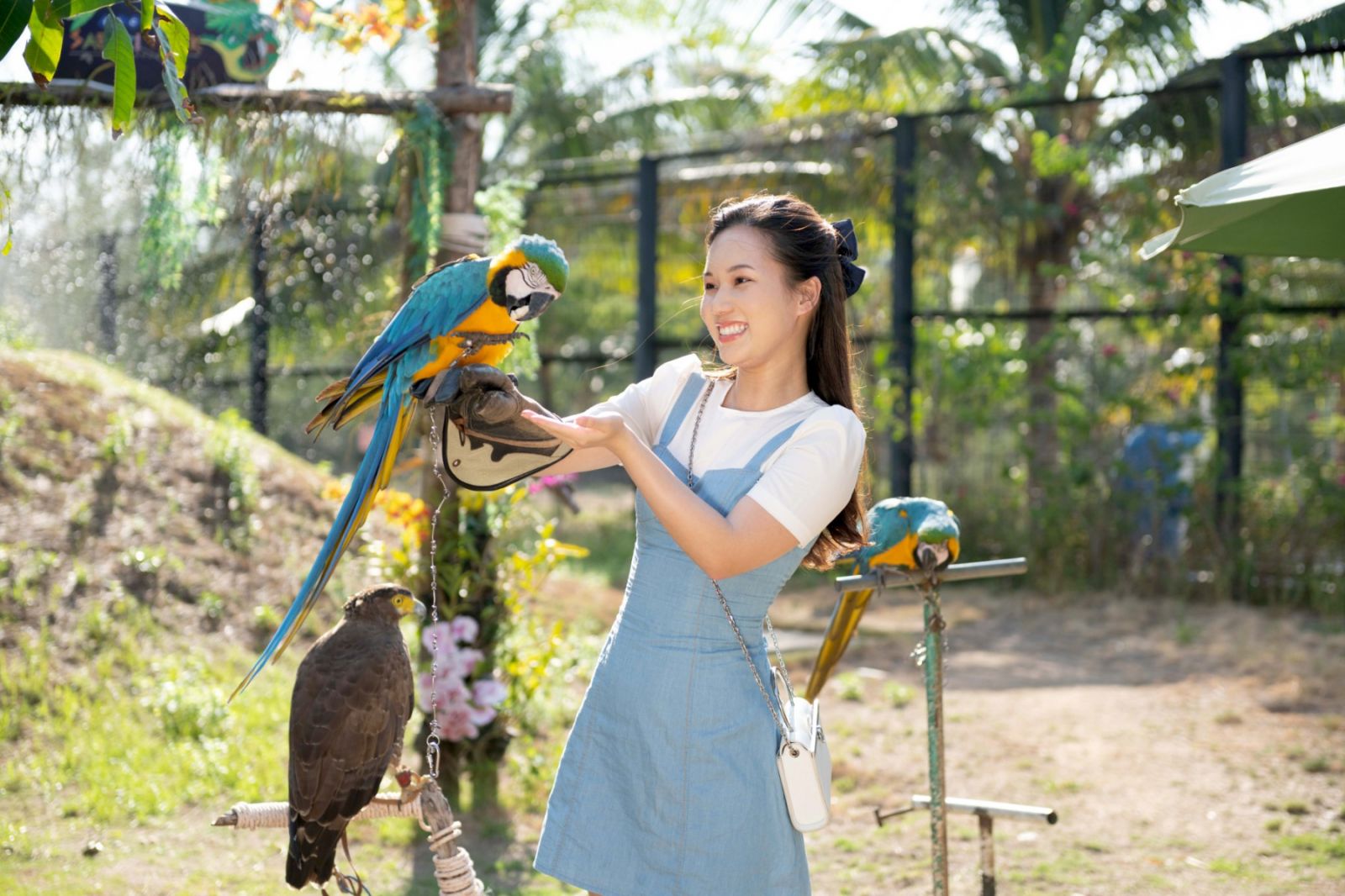 Sắp diễn ra tọa đàm Mở cửa an toàn, hiệu quả: Thời cơ vàng của du lịch Việt Nam - Ảnh 3.