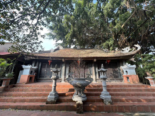 Cụ bà 95 tuổi tha thiết xin tặng chùa cho Giáo hội Phật giáo