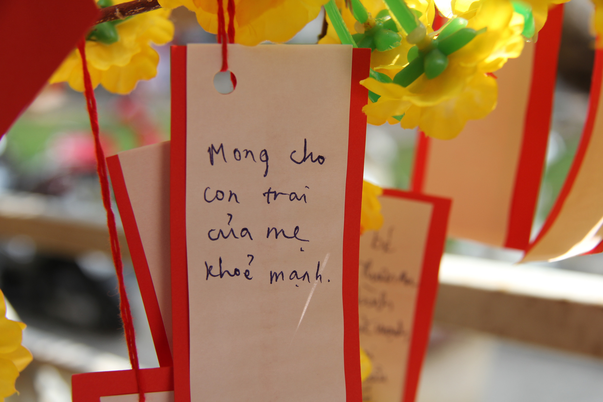 Ng&agrave;y Tết của bệnh nhi chạy thận - Ảnh 7.