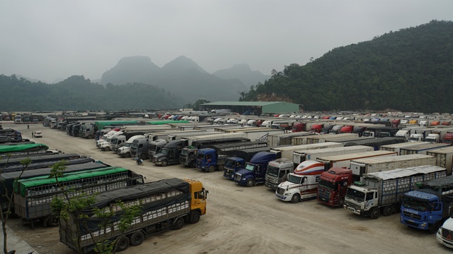Ùn ứ hơn 2.000 xe hàng ở cửa khẩu Lạng Sơn