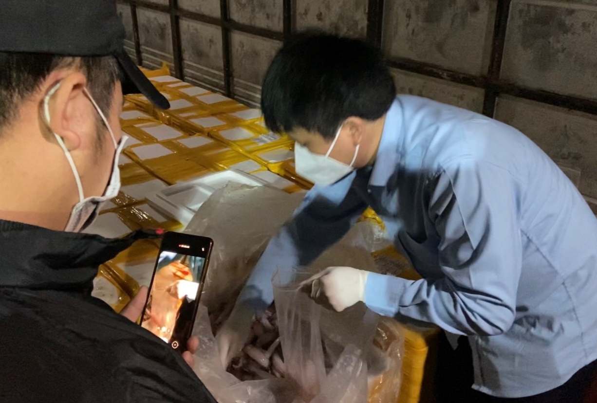 Bắt ôtô chở hơn 1,7 tấn cá khoai ướp formol đi tiêu thụ