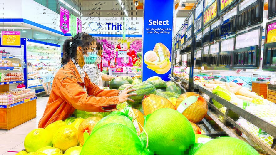 Saigon Co.op chung tay tiêu thụ dưa hấu Kon Tum ngay đầu năm - Ảnh 1.
