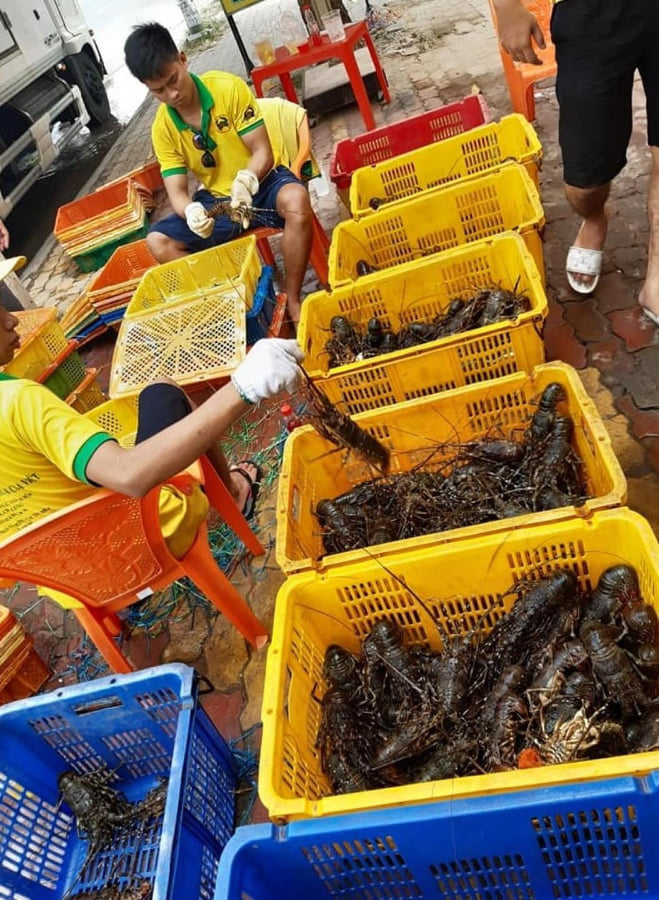 Cua Việt, sự hài lòng của khách là tiêu chí hàng đầu trong kinh doanh. - Ảnh 5.