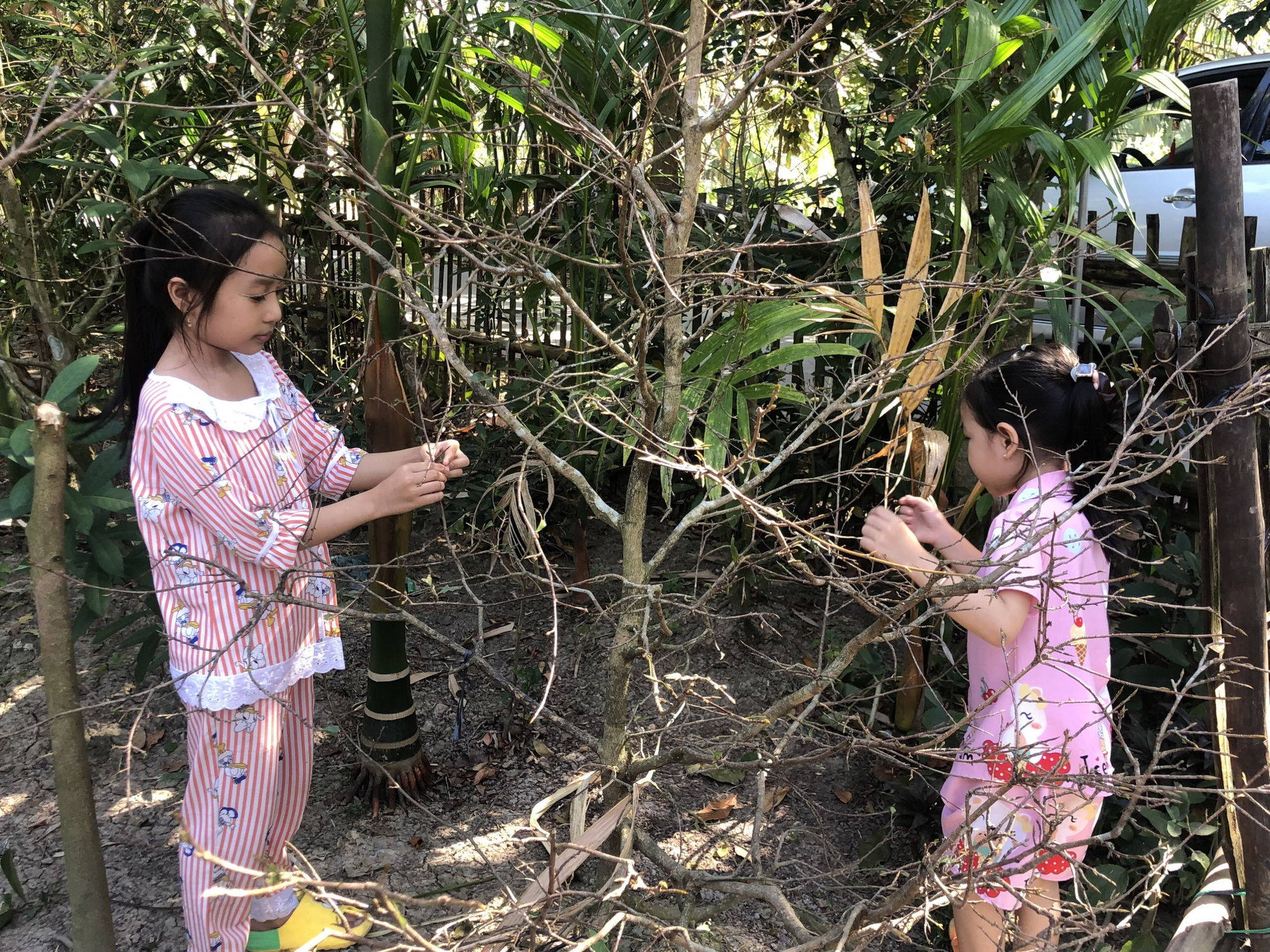 Thăm lại 3 đứa trẻ mồ c&ocirc;i cha mẹ sau vụ tai nạn thương t&acirc;m - Ảnh 6.