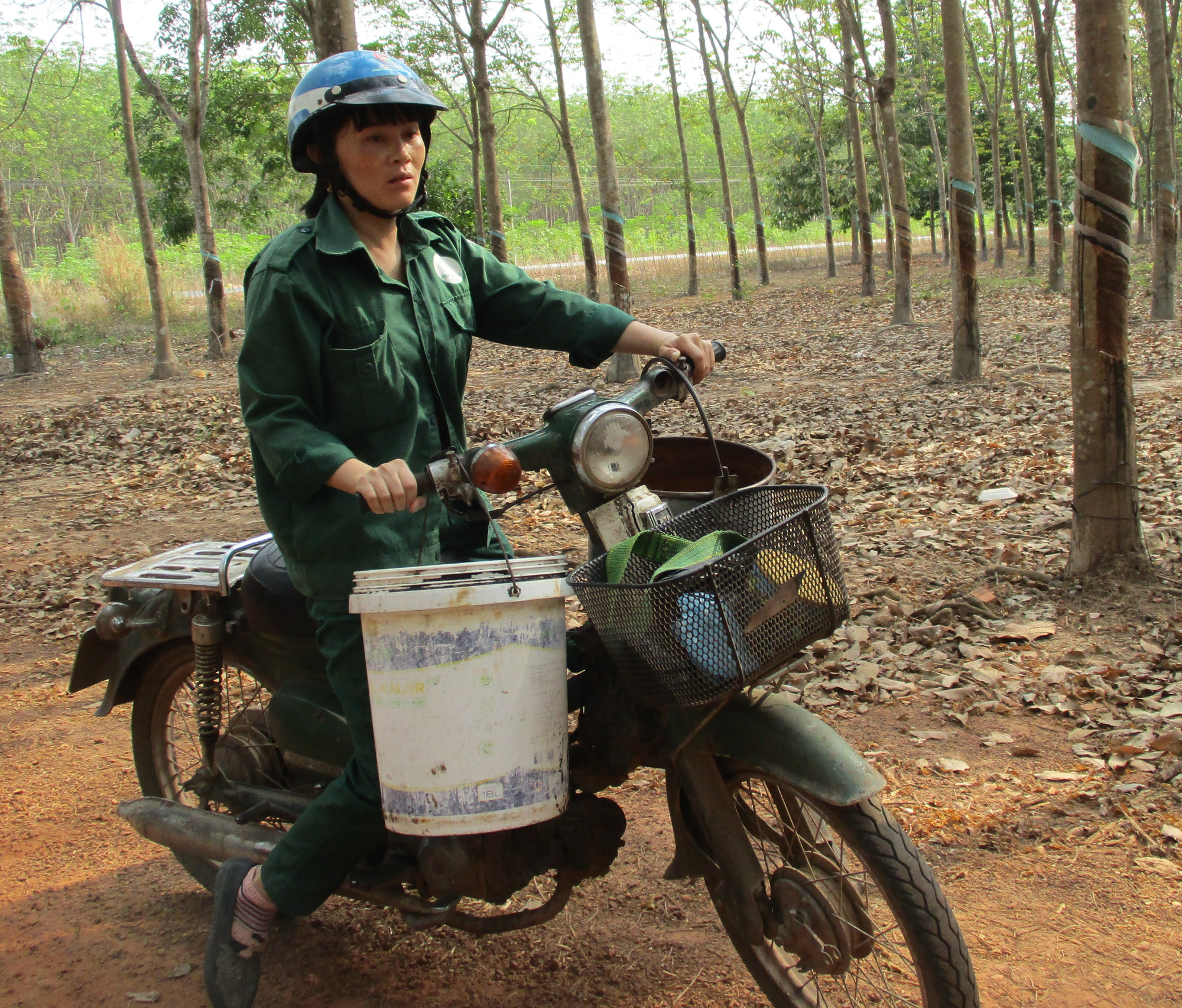 Những n&ocirc;ng sản tr&uacute;ng gi&aacute; gi&uacute;p nh&agrave; n&ocirc;ng thắng đậm - Ảnh 3.