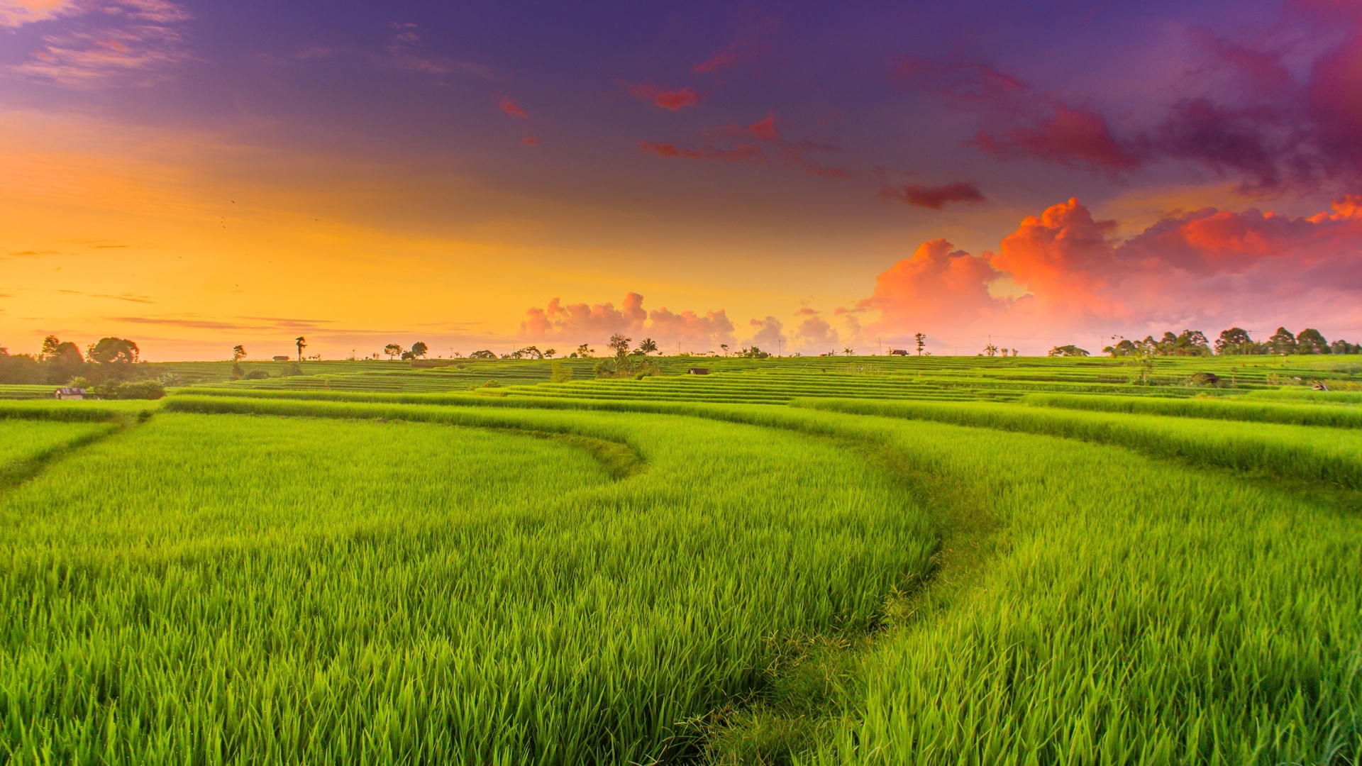 Cuộc thi B&ecirc;n nhau ng&agrave;y Tết: Khi những cơn gi&oacute; m&ugrave;a tho&aacute;ng về... - Ảnh 1.
