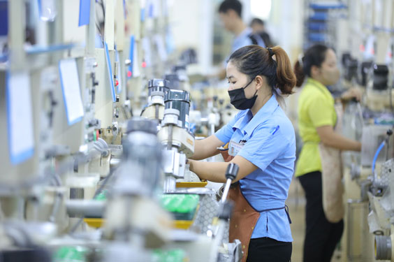 Sôi động thị trường tuyển dụng lao động