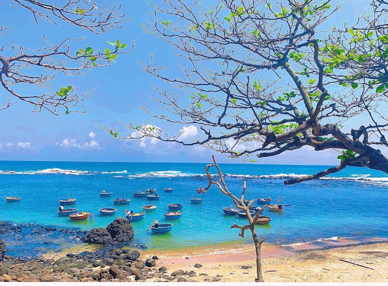 Ngắm "thiếu nữ miền biển" với vẻ đẹp mê hồn ở vùng quê Quảng Ngãi