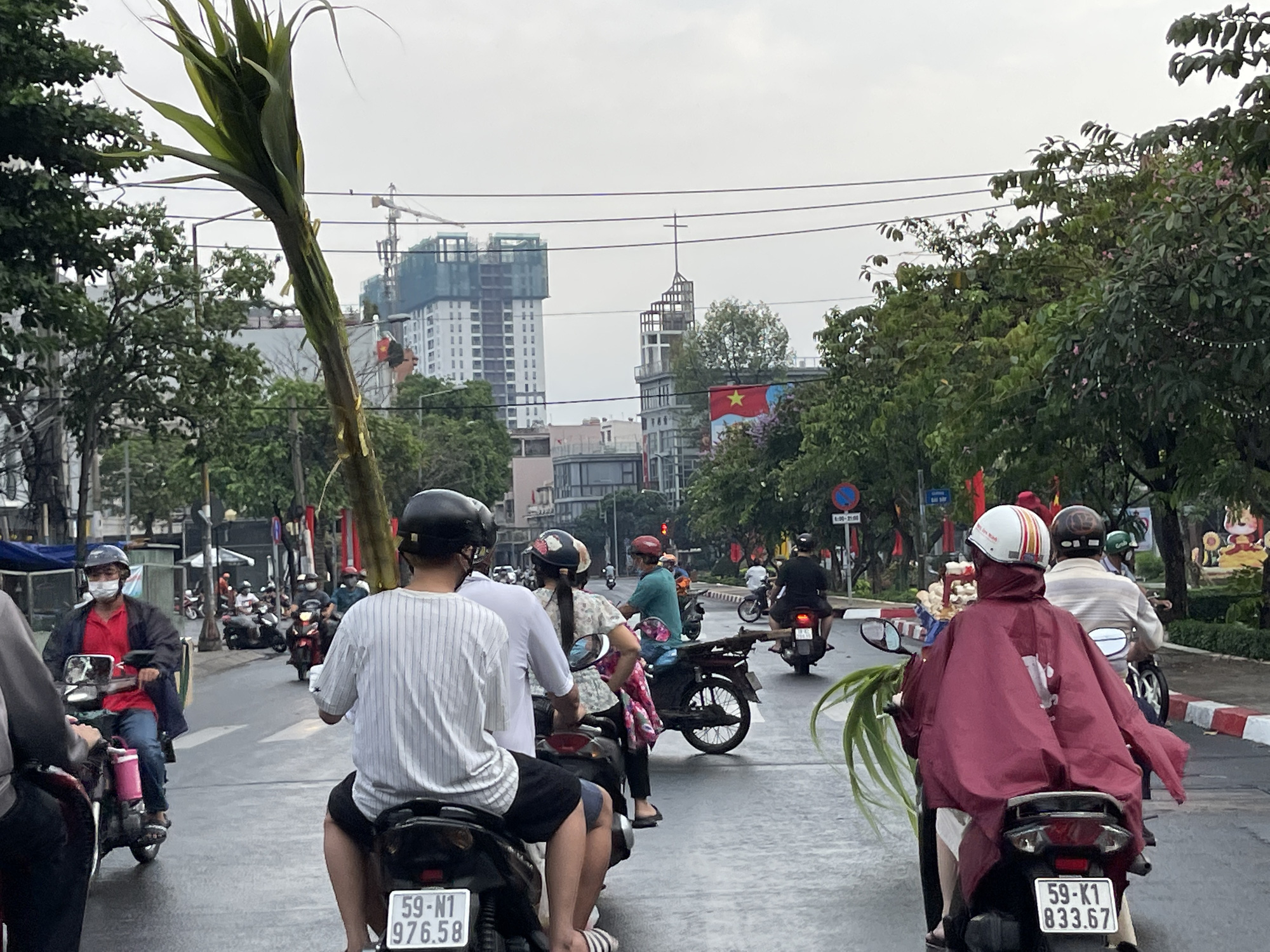 Đội mưa đi mua mía vàng - Ảnh 6.