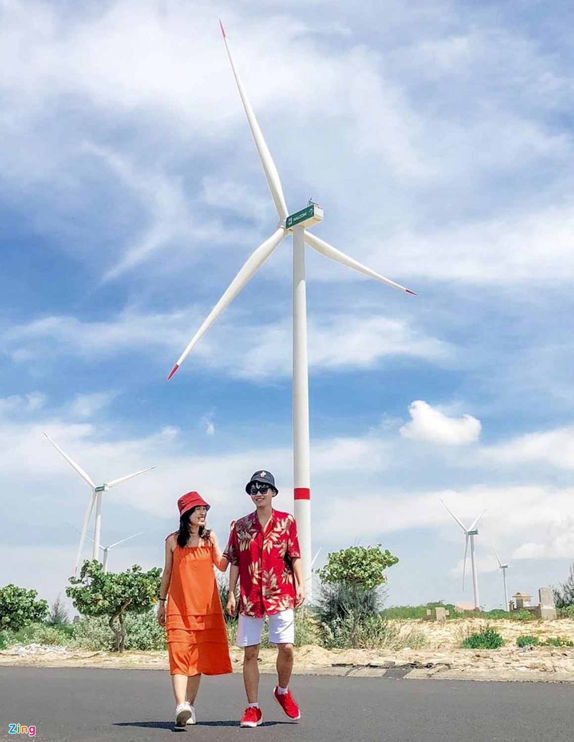 Đ&oacute;n b&igrave;nh minh tr&ecirc;n c&aacute;nh đồng quạt gi&oacute; ở B&igrave;nh Định - Ảnh 2.