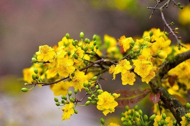 Cuộc thi "Bên nhau ngày tết": Tết mồ côi