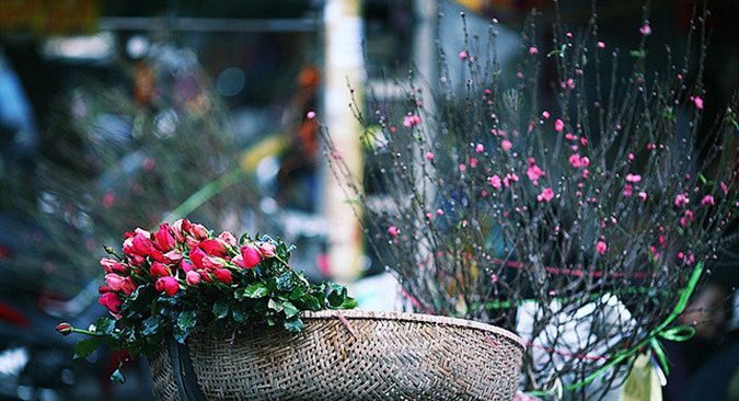 Cuộc thi "Bên nhau ngày Tết": Từ một màu hoa