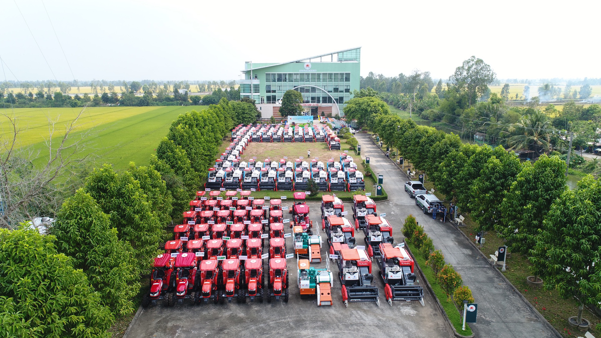 Một doanh nghiệp bao tiêu 2 triệu tấn lúa ở An Giang