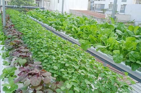 Phương pháp chống nóng cho mái tôn - Ảnh 10.