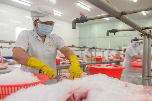 Doanh nghiệp nỗ lực trở lại "đường đua"