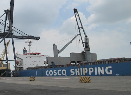 Vinacas muốn được Interpol Việt Nam hỗ trợ vụ 36 container điều bị mất kiểm soát