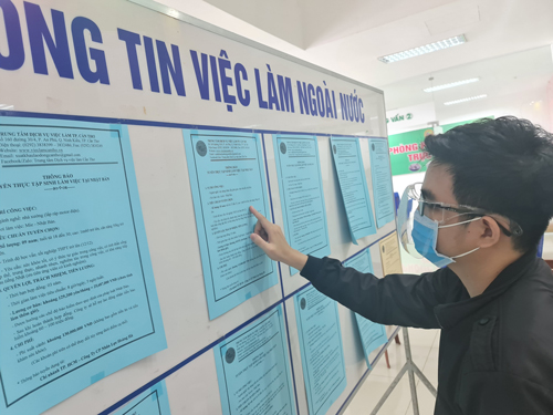 Chủ động kết nối cung - cầu lao động