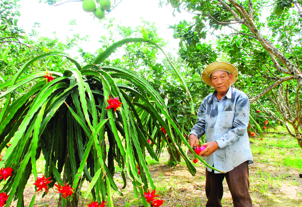 Đảo Ngọt có 3 cửa biển - Ảnh 2.