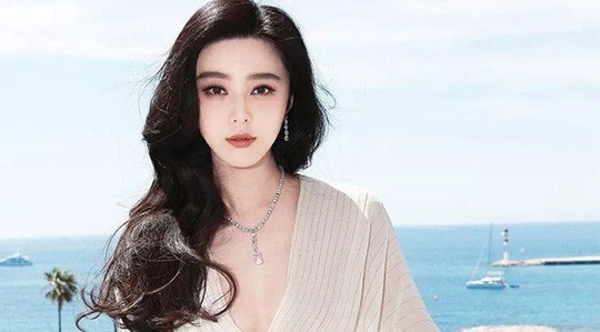 Sao Hoa ngữ tiêu tan sự nghiệp vì trốn thuế “khủng” - Ảnh 5.