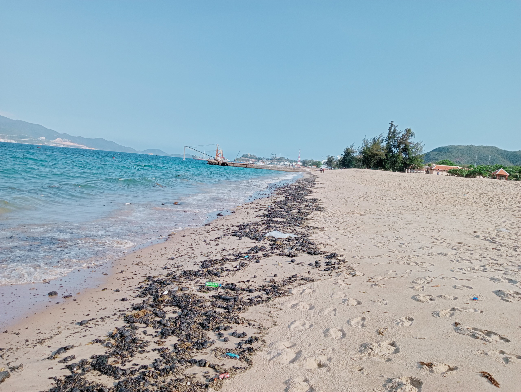 Dầu thô bất ngờ tràn ngập bờ biển Nha Trang