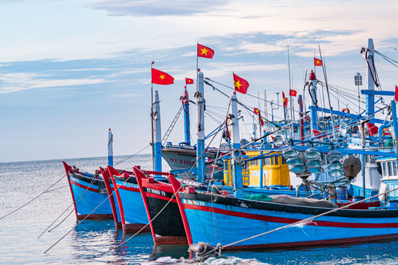Cuộc thi ảnh Thi&ecirc;ng li&ecirc;ng cờ Tổ quốc: Sắc đỏ th&aacute;ng ba - Ảnh 3.
