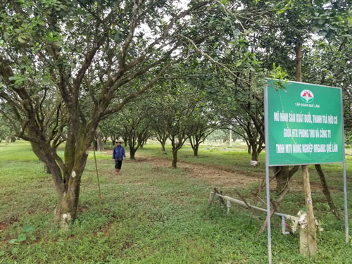 Làm giàu từ mô hình nuôi trồng khép kín